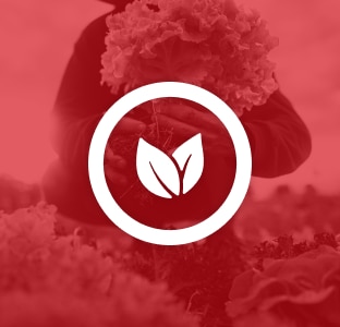 Ένδειξη Vegan